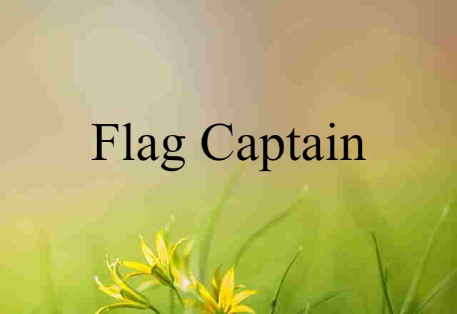 Flag Captain (noun) Definition, Meaning & Examples