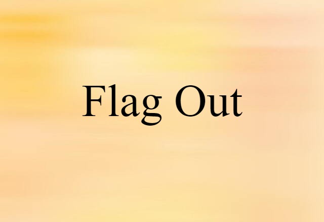 Flag Out (noun) Definition, Meaning & Examples