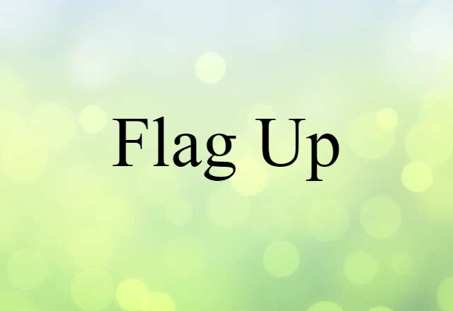 Flag Up (noun) Definition, Meaning & Examples