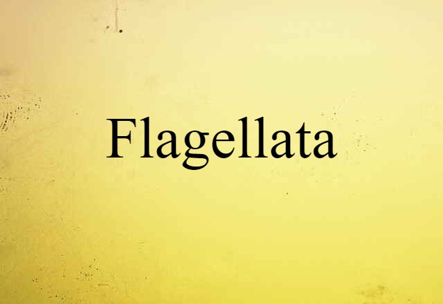 Flagellata (noun) Definition, Meaning & Examples