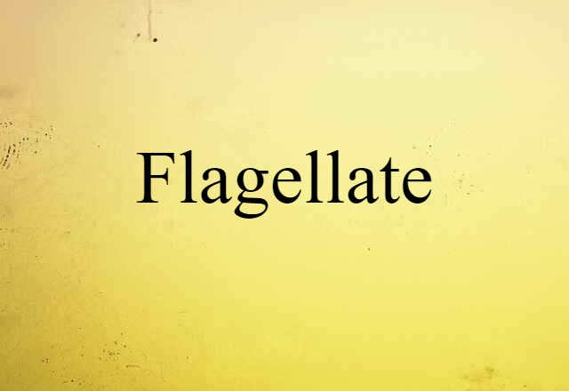 Flagellate (noun) Definition, Meaning & Examples