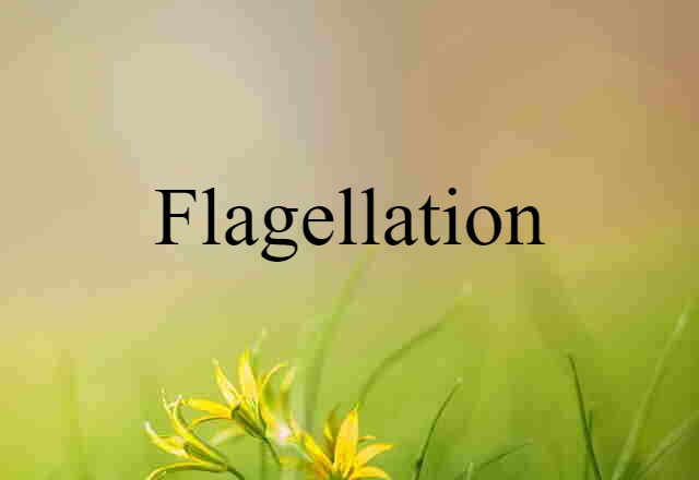 Flagellation (noun) Definition, Meaning & Examples