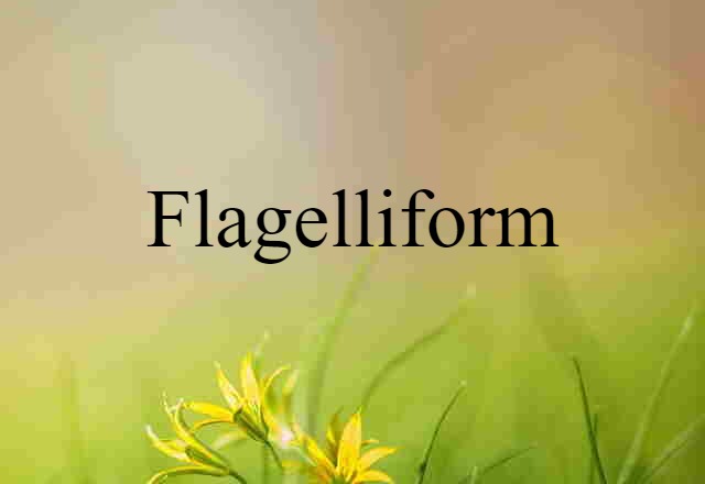 flagelliform