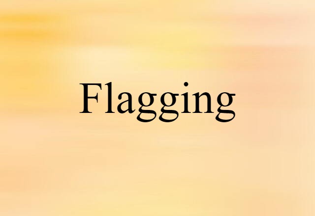 Flagging (noun) Definition, Meaning & Examples