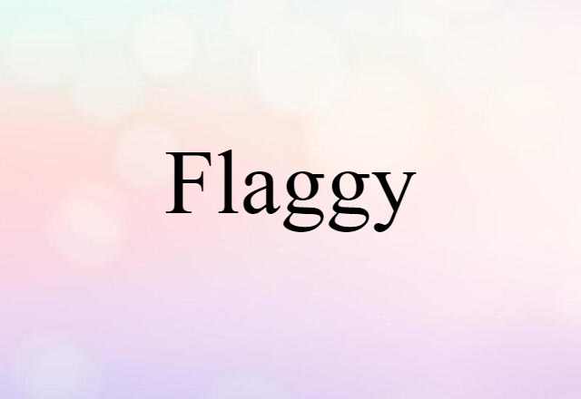 Flaggy (noun) Definition, Meaning & Examples