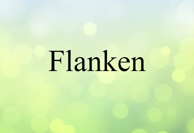 Flanken (noun) Definition, Meaning & Examples