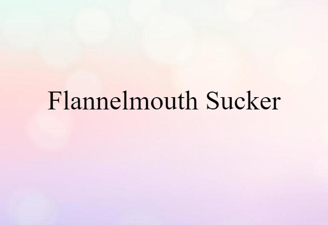 flannelmouth sucker