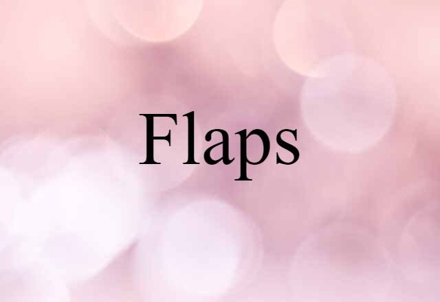 Flaps (noun) Definition, Meaning & Examples