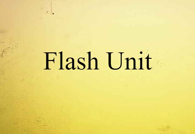 Flash Unit (noun) Definition, Meaning & Examples