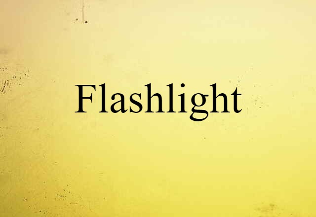 Flashlight (noun) Definition, Meaning & Examples