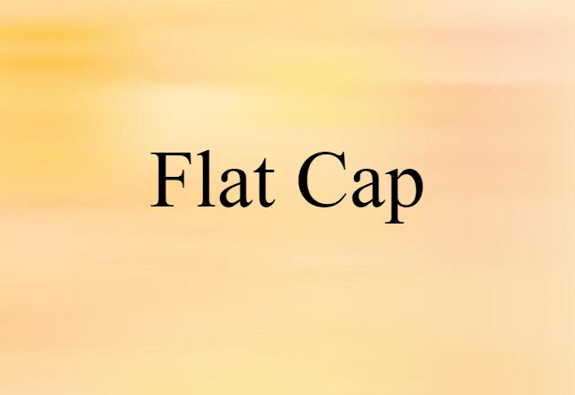 Flat Cap (noun) Definition, Meaning & Examples