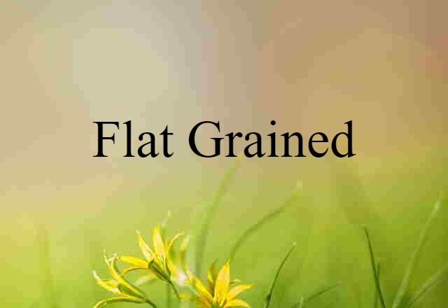 Flat-grained (noun) Definition, Meaning & Examples