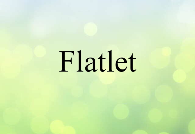 flatlet