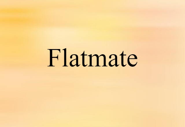 Flatmate (noun) Definition, Meaning & Examples