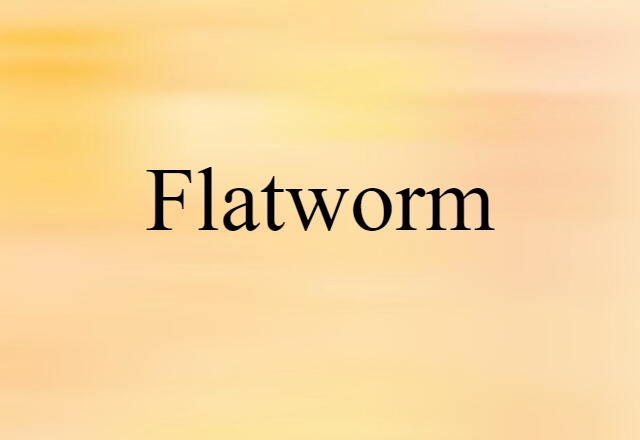 Flatworm (noun) Definition, Meaning & Examples