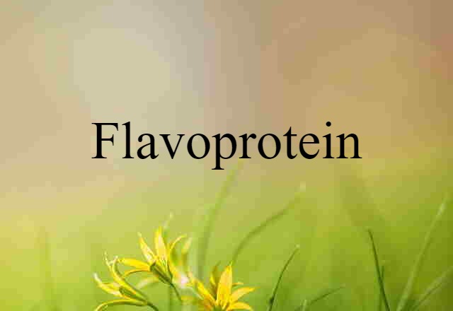 Flavoprotein (noun) Definition, Meaning & Examples