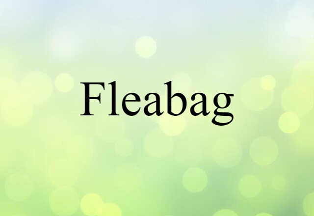 fleabag