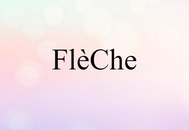 Flèche (noun) Definition, Meaning & Examples