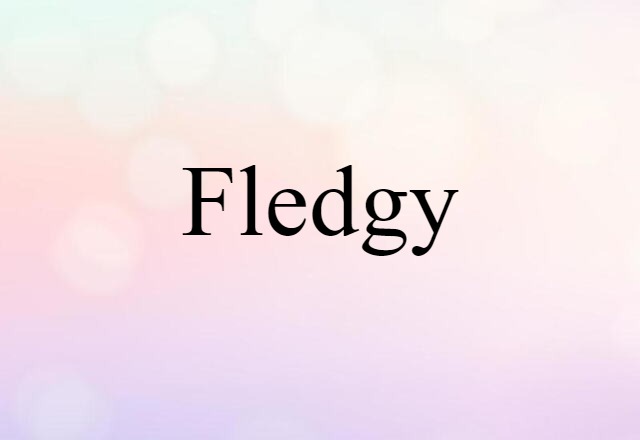 Fledgy (noun) Definition, Meaning & Examples