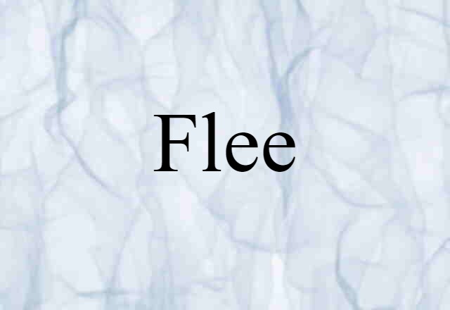 Flee (noun) Definition, Meaning & Examples