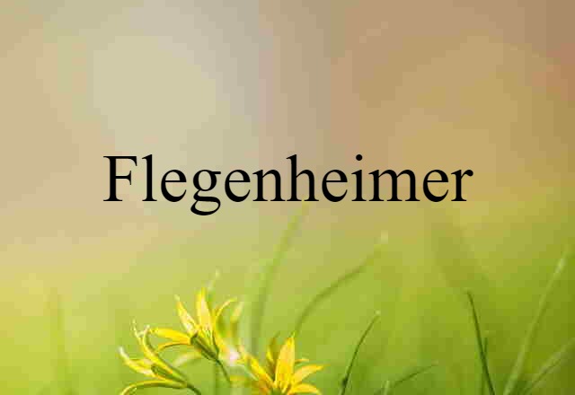 Flegenheimer