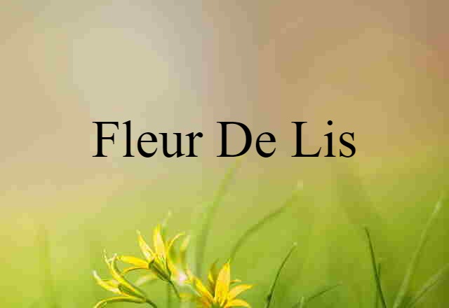 Fleur-de-lis (noun) Definition, Meaning & Examples