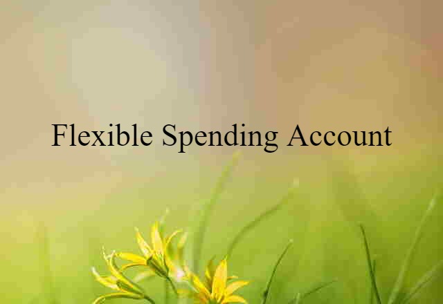 flexible spending account