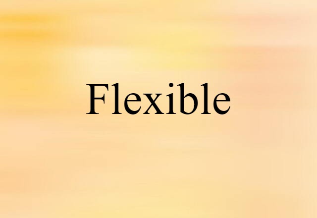 Flexible (noun) Definition, Meaning & Examples