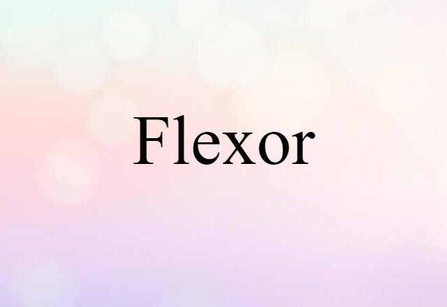 Flexor (noun) Definition, Meaning & Examples