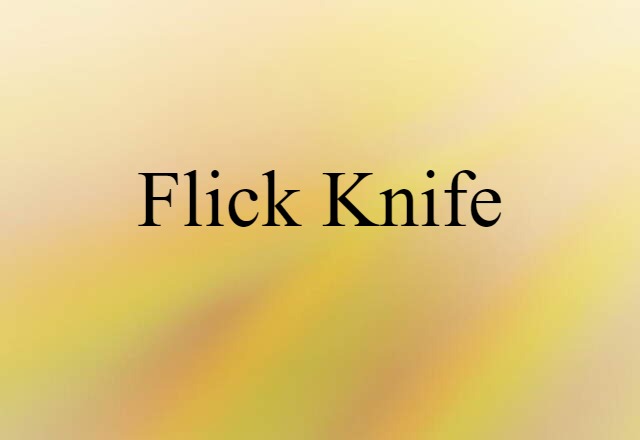 Flick-knife (noun) Definition, Meaning & Examples