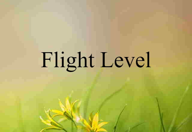 flight level