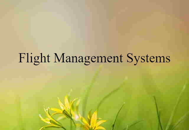 flight management systems