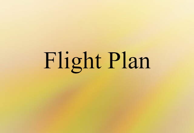 Flight Plan (noun) Definition, Meaning & Examples