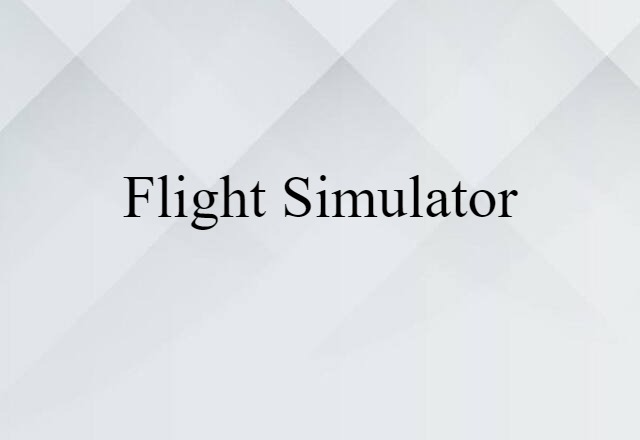 flight simulator