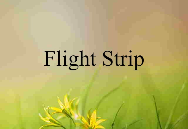 flight strip