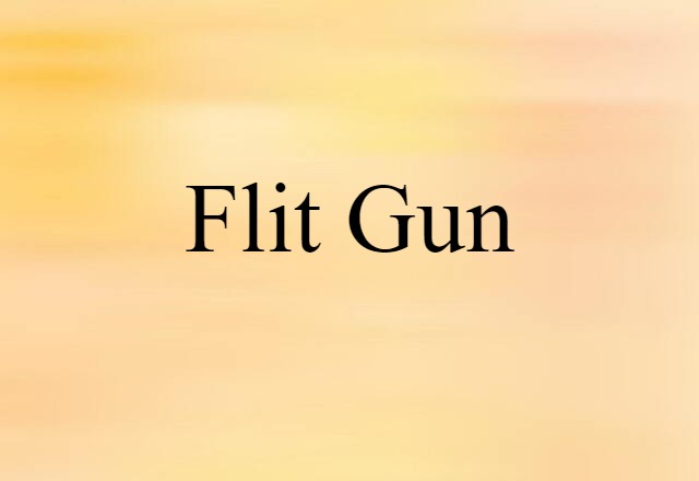 Flit Gun (noun) Definition, Meaning & Examples