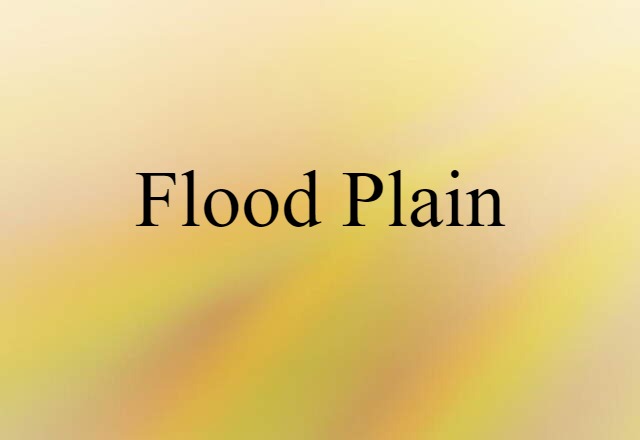 Flood Plain (noun) Definition, Meaning & Examples