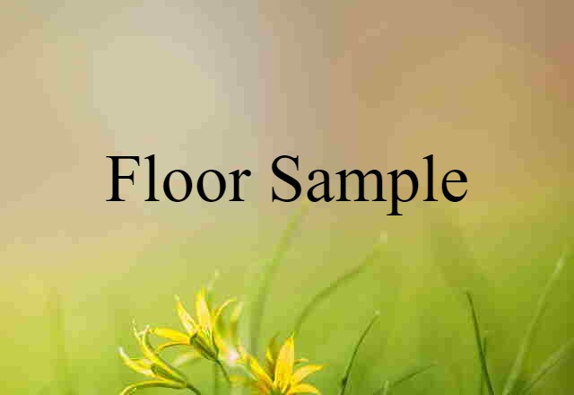 Floor Sample (noun) Definition, Meaning & Examples