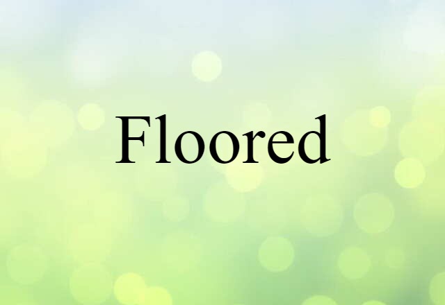 Floored (noun) Definition, Meaning & Examples