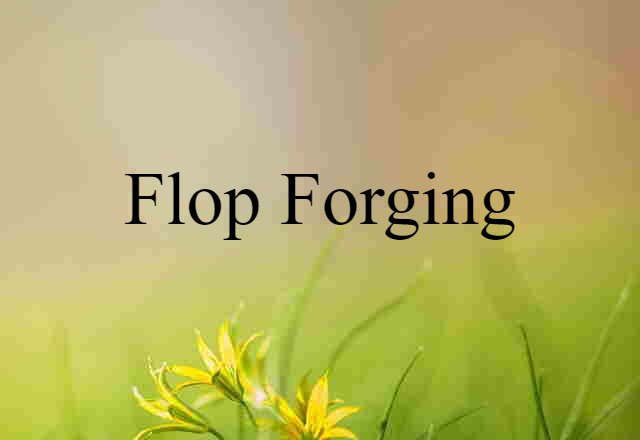 Flop Forging (noun) Definition, Meaning & Examples