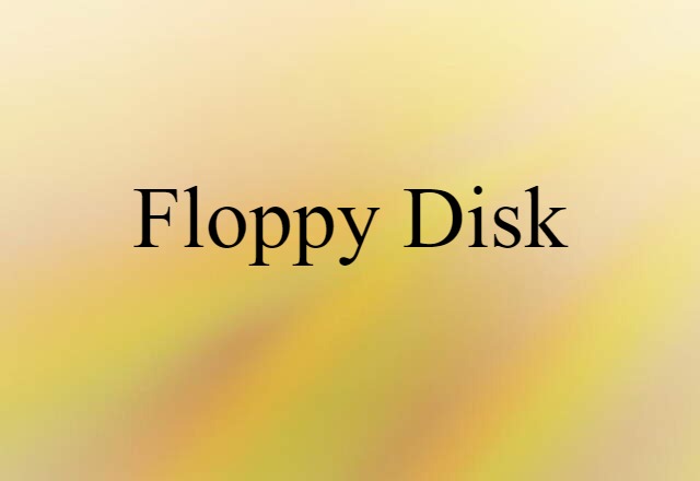 Floppy Disk (noun) Definition, Meaning & Examples