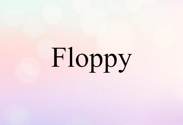 Floppy (noun) Definition, Meaning & Examples