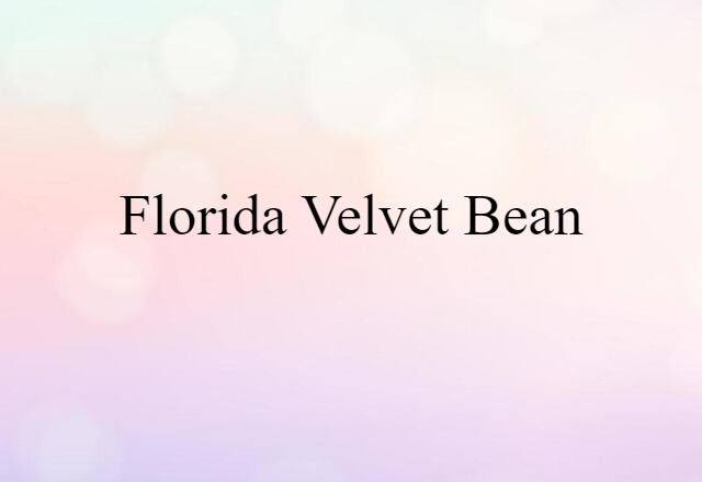 Florida Velvet Bean (noun) Definition, Meaning & Examples