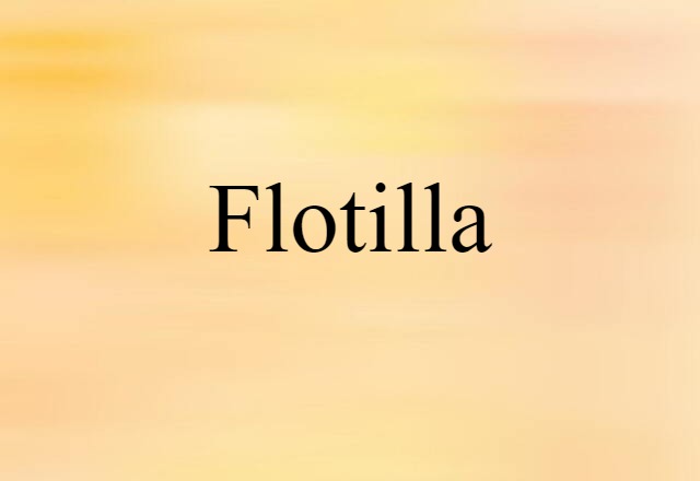 Flotilla (noun) Definition, Meaning & Examples