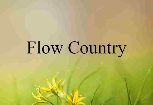 Flow Country (noun) Definition, Meaning & Examples