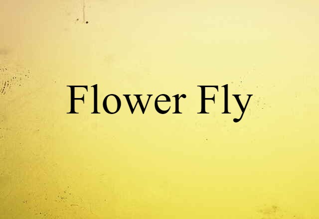 flower fly