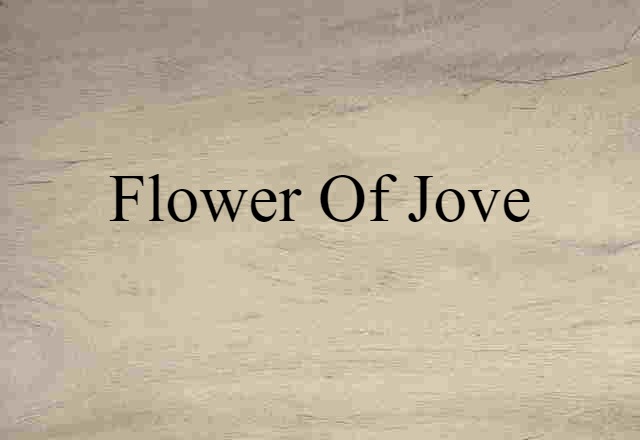 flower-of-Jove