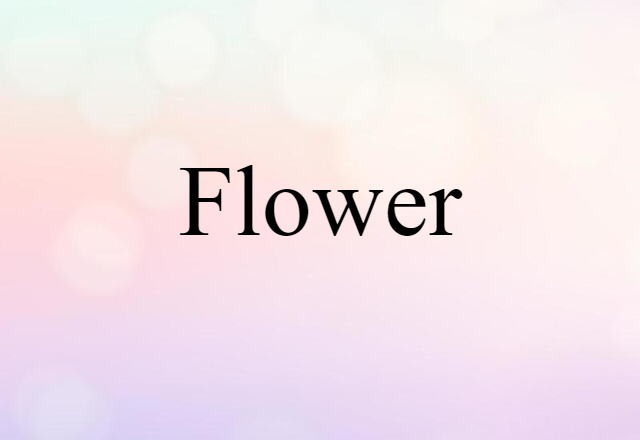 Flower (noun) Definition, Meaning & Examples