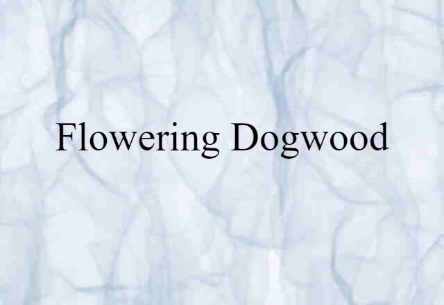 flowering dogwood