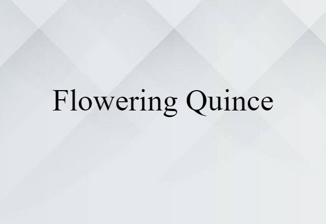 flowering quince